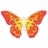 🦋