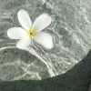 🌸