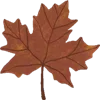 🍁