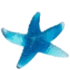🌟