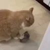 😑