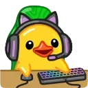 💻