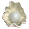 🐚