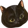 🐱