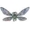 🦷