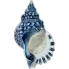 🐚