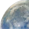 🌍