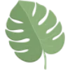 ☘️