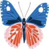 🦋