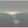 🌫️