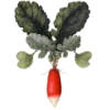 🌶️