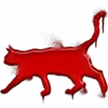 🐈