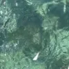🌊