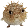 🐟