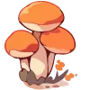 🍄