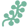 🍀