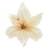 🌺