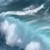 🌊