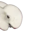 🍎