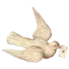 🕊️