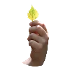 🍃