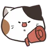 📣