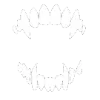 🦷