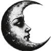 🌙