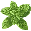 🌿
