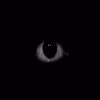 👁