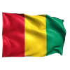 🇬🇳