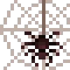 🕸