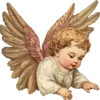 👼