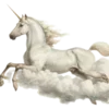 🐎