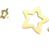 🌟