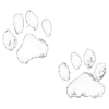 🐾