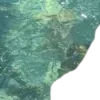 🌊