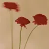 🌷