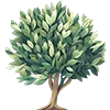 🌳