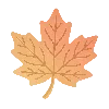 🍁