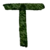 🟢