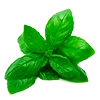 🥦