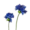 🖤