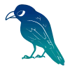 🐦‍⬛️