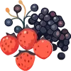 🍓