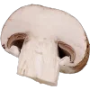 🍄