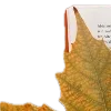 📖
