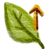 🍃