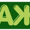 💚