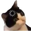 🐈
